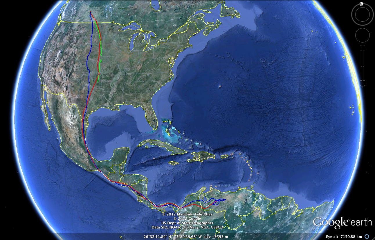 Google Earth image with three successive years of a particular turkey vulture's migration